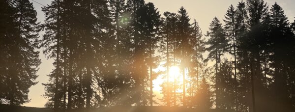 Levé de soleil entre les sapins | © BRS Levé de soleil entre les sapins | © BRS